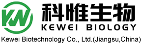廣東凱迪 GUANGDONG KAIDI